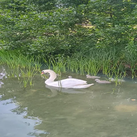 In Parchowo By Mausz