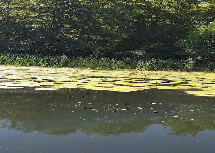 In Parchowo By Mausz Semesterbostad *